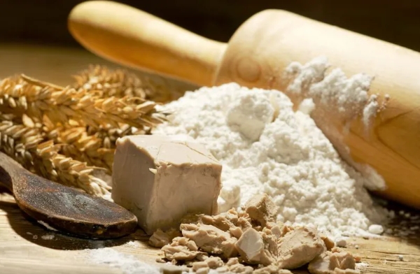 Türkiye, France and China Deliver the World's First Bakers' Yeast Standard
