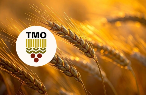 TMO announces 2026 grain purchase prices: Wheat set at 16,500 TL