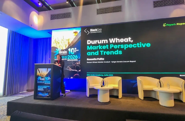High-protein durum shortage emerges despite comfortable global supply