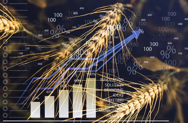 FAO food prices rise in August as wheat hits two-year high