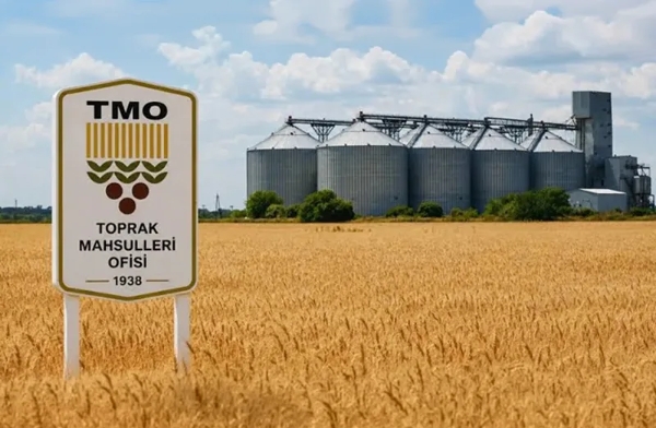 TMO to launch wheat sales through TÜRİB
