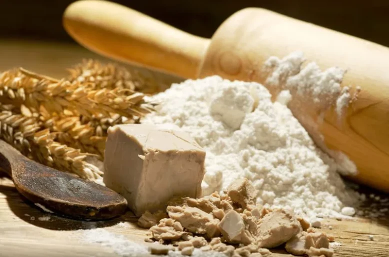 Türkiye, France and China Deliver the World's First Bakers' Yeast Standard