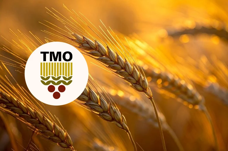 TMO 2026 yılı hububat alım fiyatlarını açıkladı: Buğday 16.500 TL