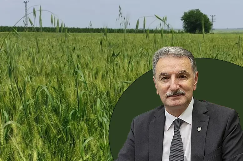 TMO Genel Müdürü Güldal: 